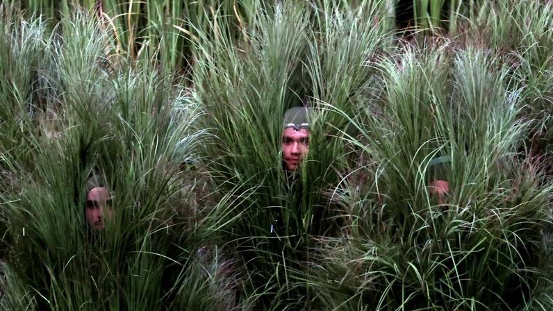 Bush people performers as part of Bad Bunny Super Bowl performance