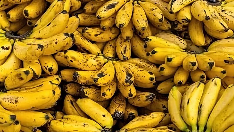 Cinco variedades de banana e como usá-las em receitas doces e salgadas