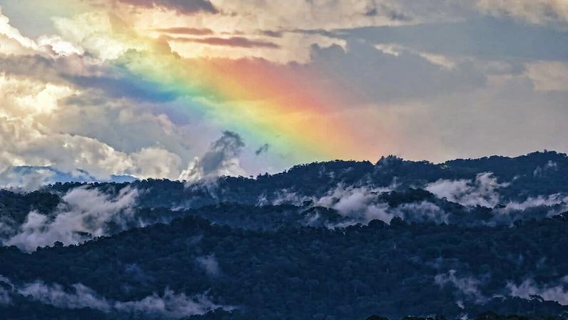 Cartas ao futuro: a próxima geração do jornalismo