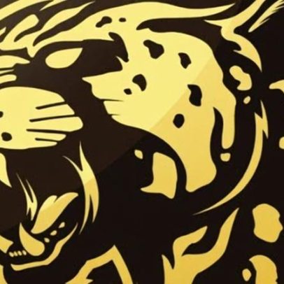 Bushido Wildcats vs Gentle Mates: estatísticas e resultado de 13/02/2026