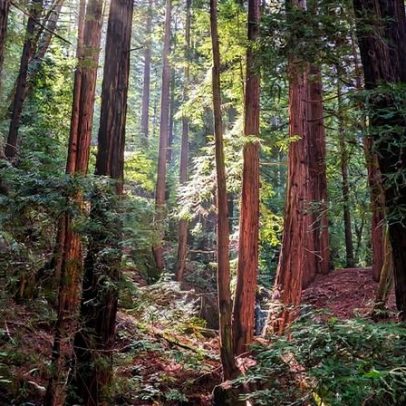 Medir o que funciona na conservação