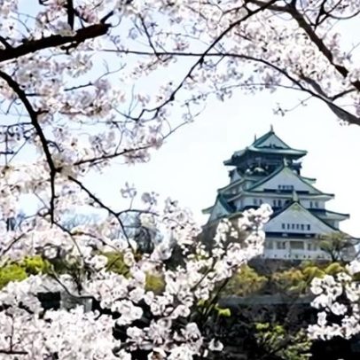 Japão adotará autorização eletrônica para entrada de brasileiros