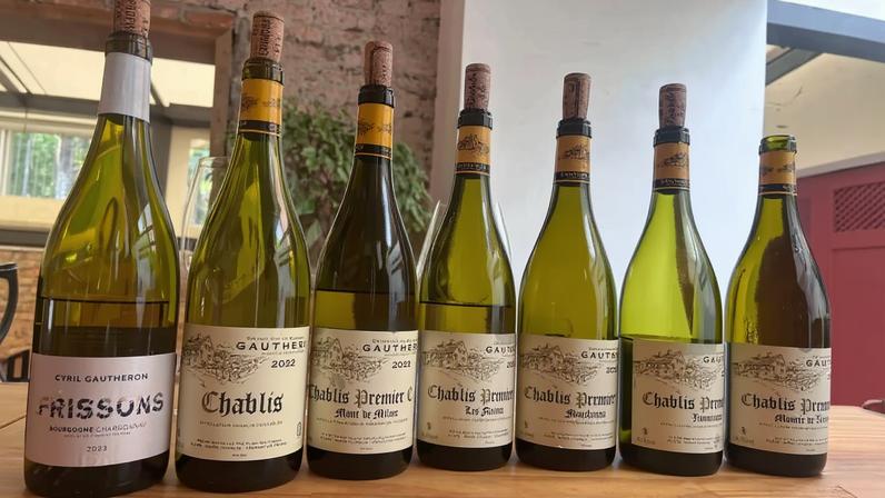 Chablis ganha espaço no Brasil e consolida presença no mercado