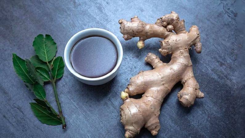 Chá de louro: para que serve e 3 receitas para incluir no dia a dia