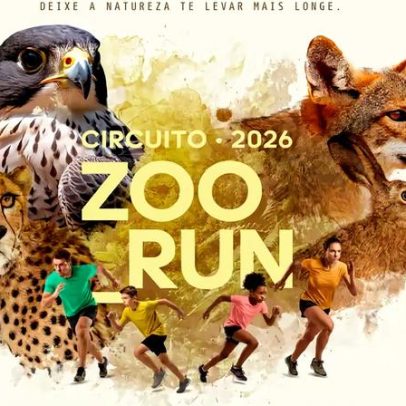 Circuito Zoo Run reúne público para correr ao lado de animais em SP