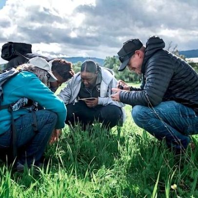 Da química à regeneração: a próxima transformação da agricultura já começou