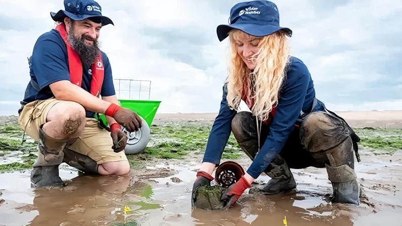 Pradarias extensas de ervas marinhas protegerão a costa