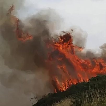 Incêndio em charneira persiste 40 dias após cozimento na floresta