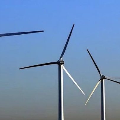 Conselheiros planejam revogar meta de neutralidade de carbono