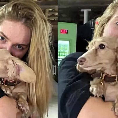 Virginia Fonseca mostra cachorra de Lucas Guedez com coleira de luxo de R$ 2 mil