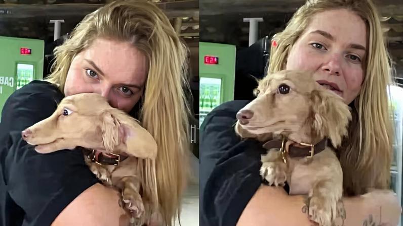 Virginia Fonseca e a cachorrinha do amigo, Lucas Guedez — Foto: Reprodução/Instagram