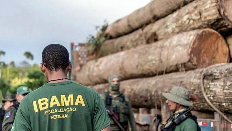 Operação do Ibama contra extração ilegal e na comercialização de madeira. Foto: Vinícius Mendonça/Ibama