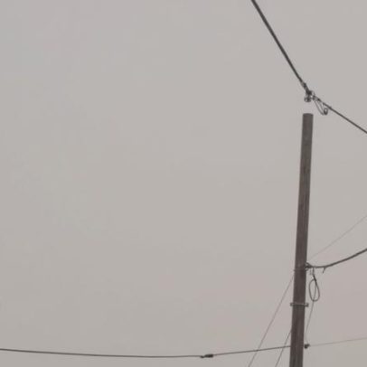 Pegadas de dinossauros são encontradas próximo aos Jogos de Inverno