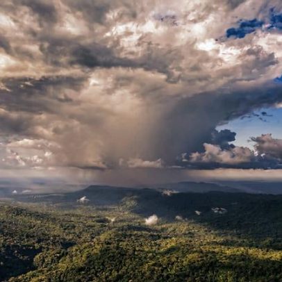 A exportação mais valiosa da Amazônia não é madeira, é chuva