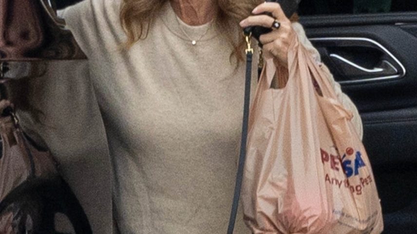 Sydney Sweeney’s mom, Lisa Sweeney, was spotted boarding Scooter Braun’s private jet on Wednesday.