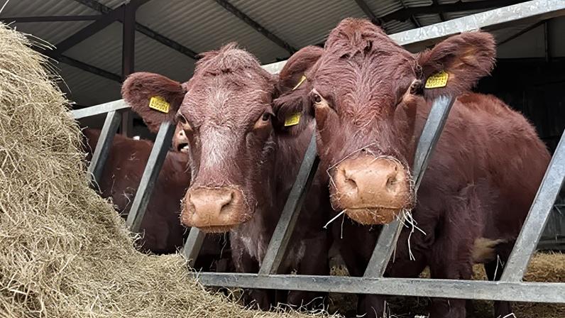 Órgão de fiscalização das mudanças climáticas será criado