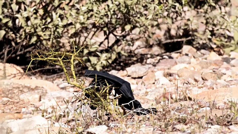 A black glove found on the ground in a desert-like area, near small shrubs and rocks.