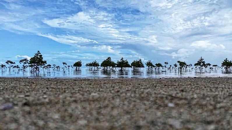 60 anos de lições enterradas em projetos de conservação da USAID foram salvas