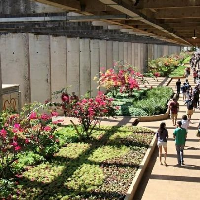 Justiça do DF nega pedido para suspender cotas trans na UnB