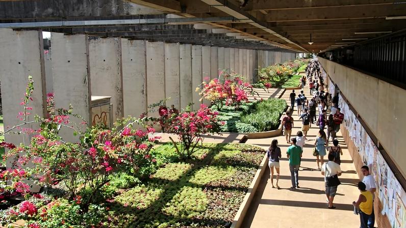 Justiça do DF nega pedido para suspender cotas trans na UnB