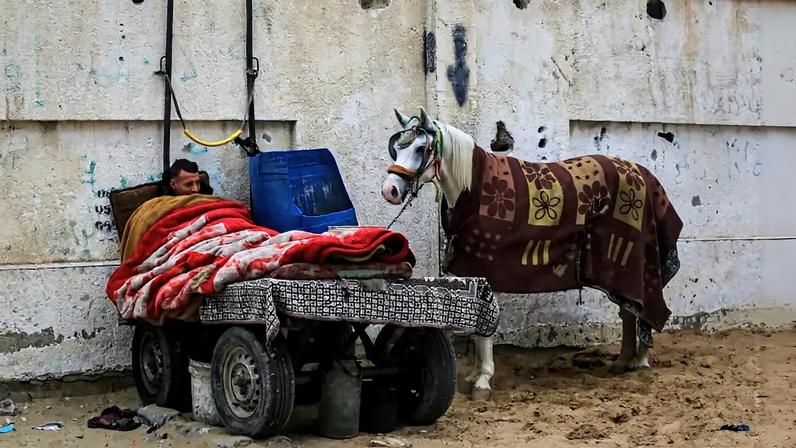 Desafios ofuscam a esperança em Gaza