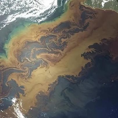 Shell abre vagas de estágio em geologia e exploração