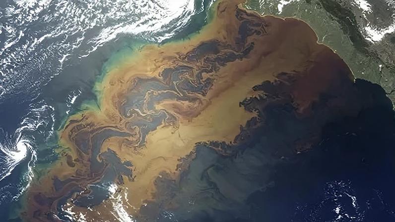 Shell oferece 16 vagas de estágio em áreas como geologia e exploração