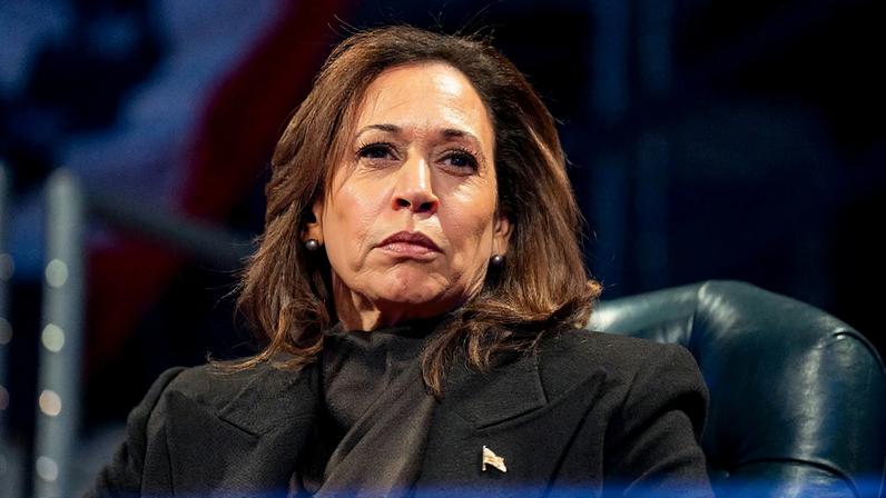 Democratas buscam vitórias nas eleições de meio mandato com postagens