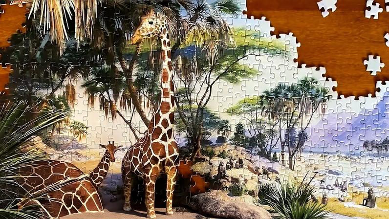 Conservação: usar evidência causal na avaliação de impactos