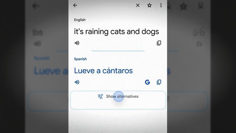 A screenshot of Google Translate with a new “show alternatives” button.