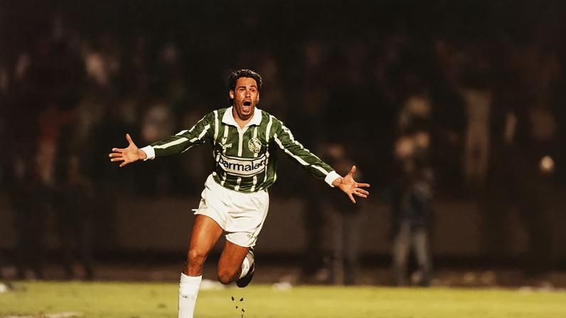 Evair no Palmeiras: jogos, gols e estatísticas ao longo da história