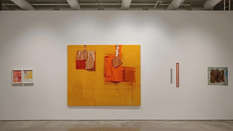 Vista parcial da exposição Color Clímax de Sérgio Sister e Karin Lambrecht na Galeria Nara Roesler, Nova York
