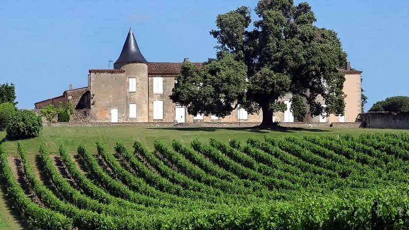 Top 10 Destinos de Vinho na Europa em 2026