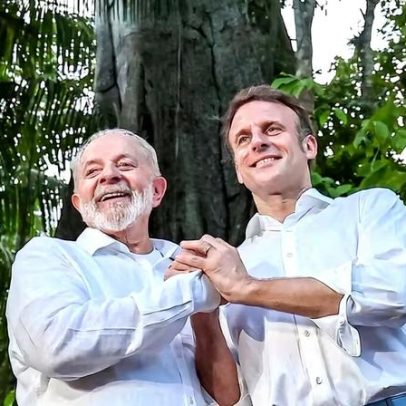 Brasil busca proteção maior para árvore nacional em risco; França reage