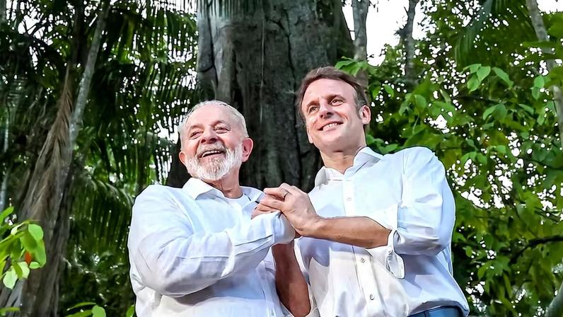 Brasil busca proteção maior para árvore nacional em risco; França reage