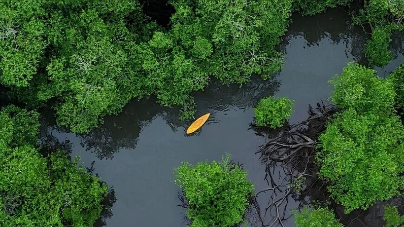 ONGs no Panamá enfrentam ações e apreensão de ativos em disputa de porto