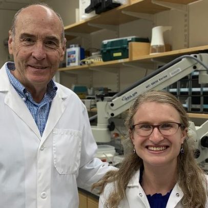 Estudo de Fragile X revela biomarcador de ondas que liga humanos e camundongos