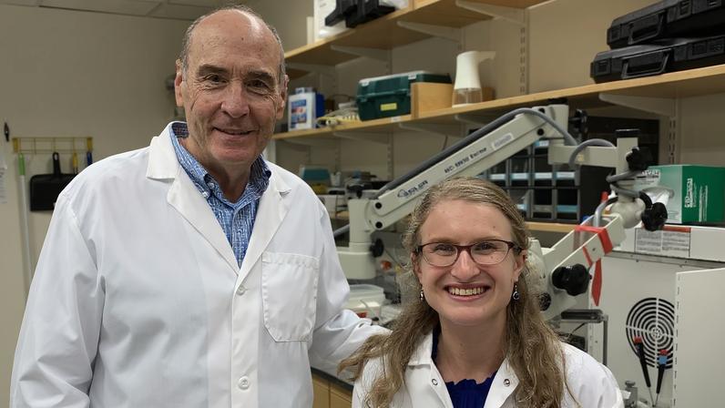 Estudo de Fragile X revela biomarcador de ondas que liga humanos e camundongos