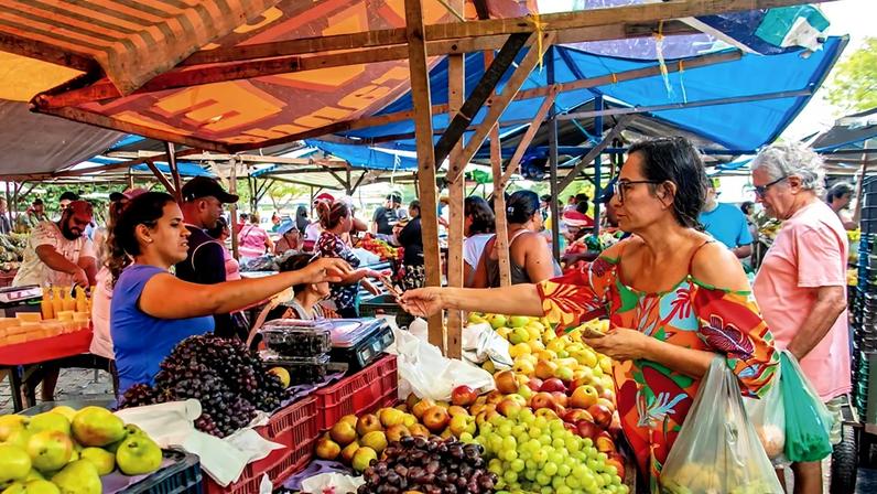 Relação entre recuperações judiciais e endividamento familiar é investigada