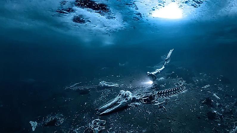 Alex Dawson A freediver shines her torchlight on whale bones, a hole in the ice is visible above the diver (Credit: Alex Dawson)