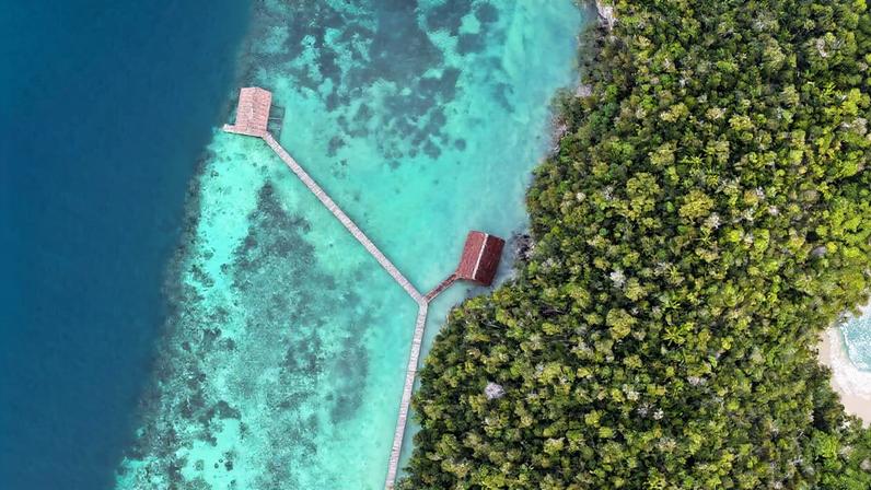 Por que um ecossistema de informação saudável importa