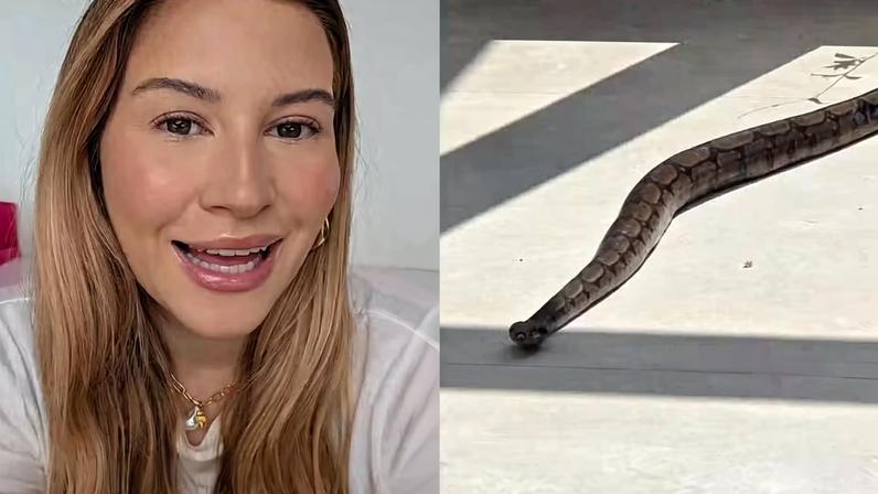 Niina Secrets encontra cobra no quintal de casa — Foto: Reprodução | Instagram