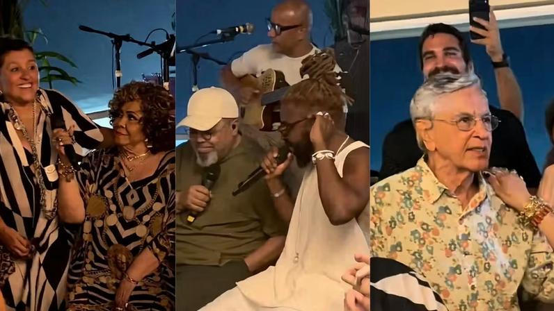 Regina Casé celebra aniversário em roda de samba com Alcione, Caetano, Thiaguinho e mais — Foto: Reprodução | Instagram