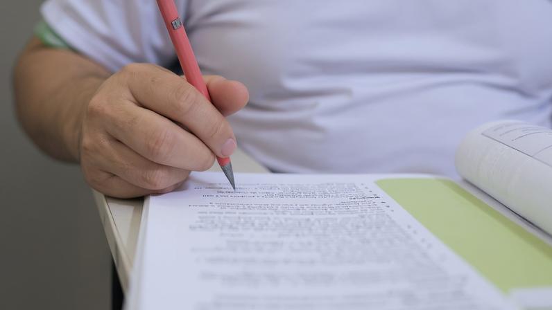 Webinário apresenta plataforma de monitoramento dos anos finais