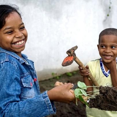 MEC apoia sustentabilidade e resiliência climática nas escolas