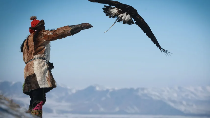 Os pássaros que dominam a terra