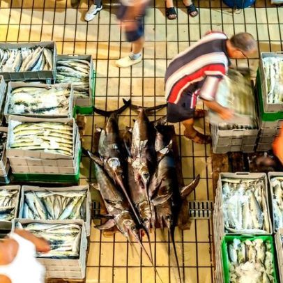 Fraude na pesca de frutos do mar é generalizada e ameaça peixes