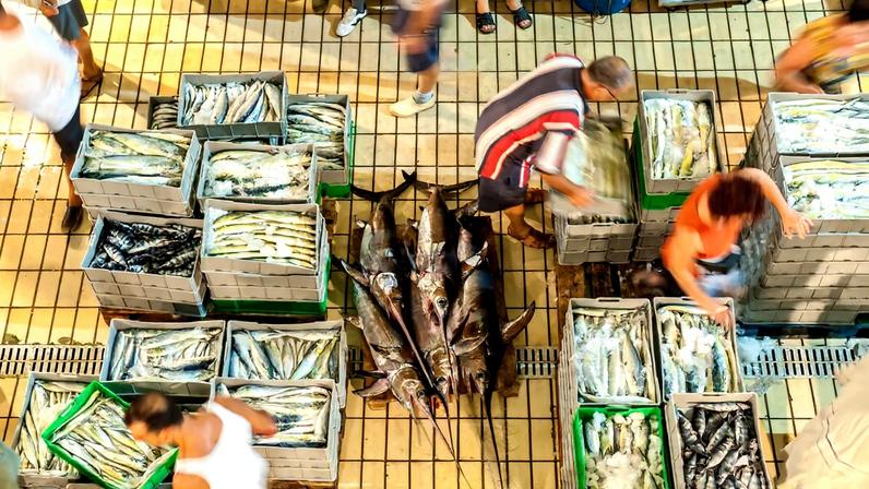 A wholesale seafood market. Image © FAO/Kurt Arrigo.