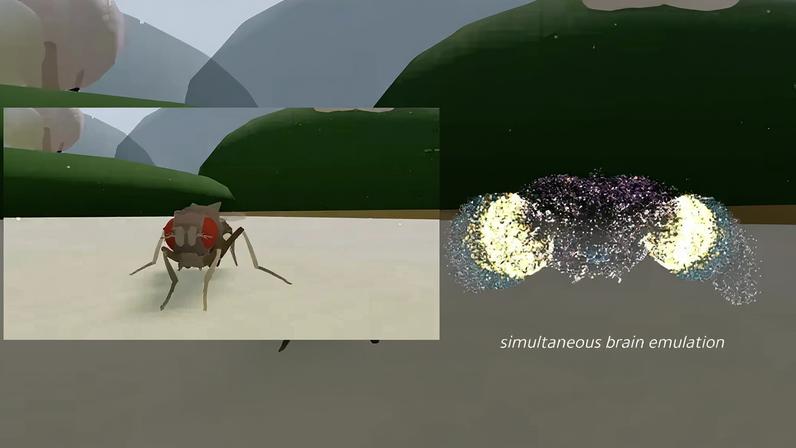 Imagem do Upload da mosca no pc.