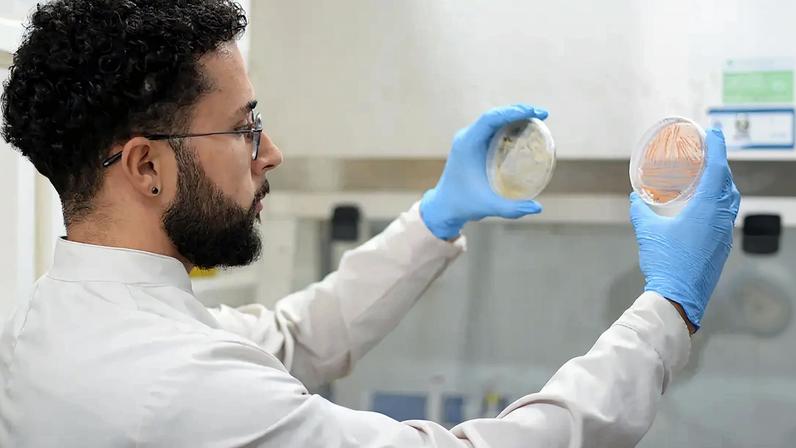 Fotografia de um pesquisador segurando duas placas, substância promissora contra câncer.